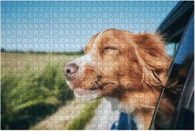 1000 Piece Dog Travel by car Nova Scotia Duck Tolling Retriever Enjoying Road Large Piece Jigsaw Puzzles for Adults Educational Toy for Kids Creative Games Entertainment Wooden Puzzles Home Decor