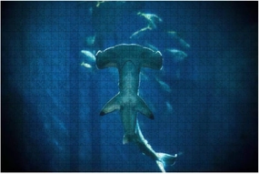 1000 Piece Hammerhead Shark Large Piece Jigsaw Puzzles for Adults Educational Toy for Kids Creative Games Entertainment Wooden Puzzles Home Decor