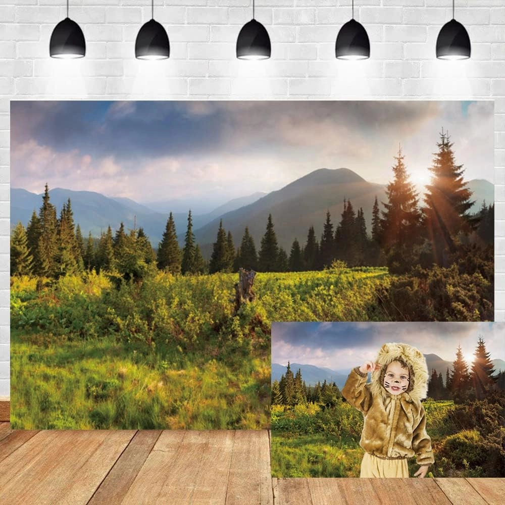 10x8ft Nature Landscape Backdrop Mountain Forest Pine Trees Background for Photography Green Spring Scenery Outdoor Picnic Travel Theme Video Shooting Adventure Party Banner Studio Props