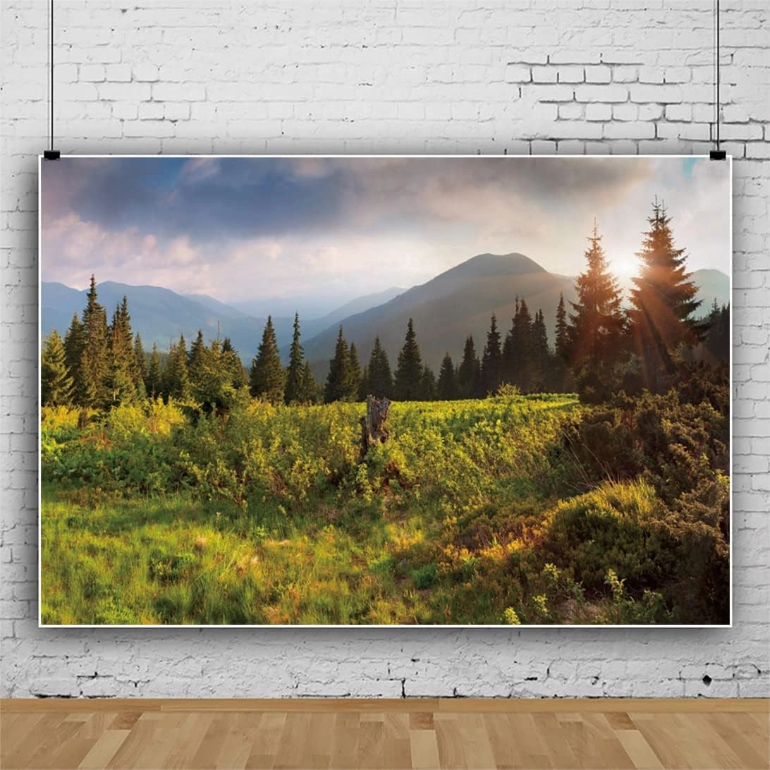 10x8ft Nature Landscape Backdrop Mountain Forest Pine Trees Background for Photography Green Spring Scenery Outdoor Picnic Travel Theme Video Shooting Adventure Party Banner Studio Props
