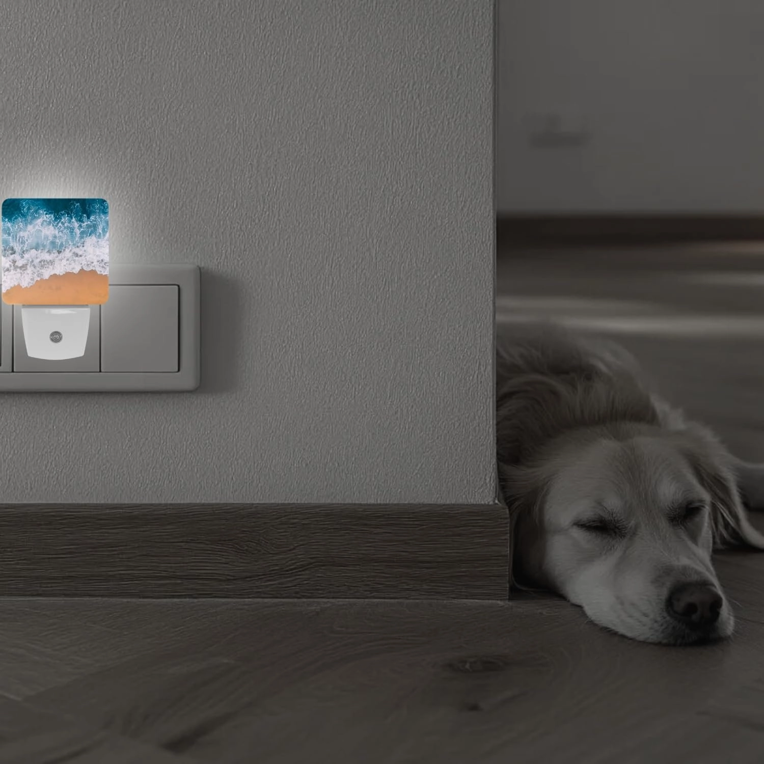 2 Pack Plug-in Night Lights - Automatic Sensor Dusk-to-Dawn LED Warm Sweet Wall Nightlight for Home, Bedroom, Kitchen, Hallway (Ocean Sea Side)