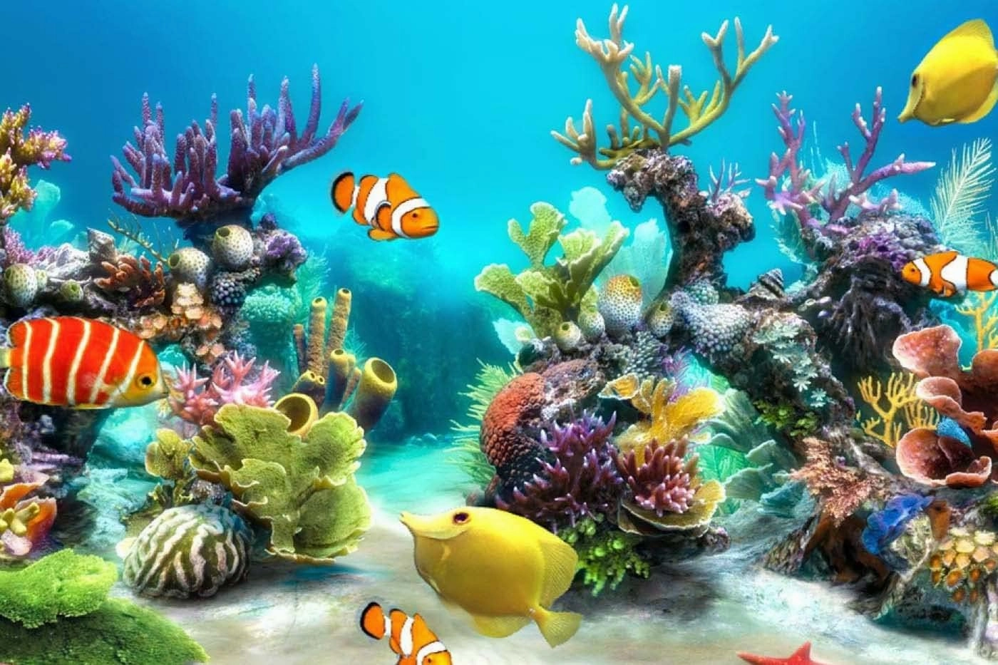 500 Pieces Jigsaw Puzzle for Adults Teens Kids, Corals with Fish Wood Jigsaw Puzzle, Brain Challenge Educational Game Relaxation Family Activities Decoration Puzzle