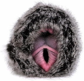 6.5in Black Dog Dual Channel Male Masterburters, Pocket Pussy Sucking Toy Silicone Plush Adult Male Masterbaters with Fur Sex Toys, Realistic 3D Vagina Anal Textured Masturbater Cup