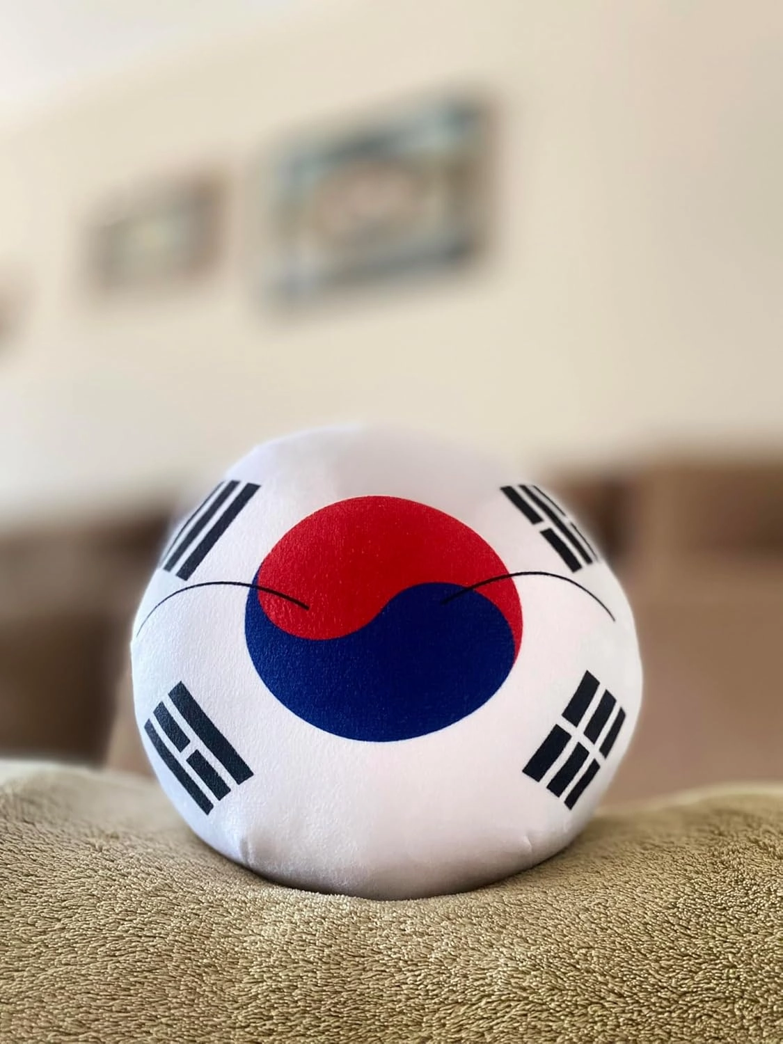 8-Inch Countryball Plushie – Soft and Cute National Ball Toy – Collectible Gift for Fans, Kids, and Plush Enthusiasts (14.South_Korea)