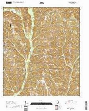 Abbeville East, Alabama topo map by East View Geospatial, 1:24:000, 7.5 x 7.5 Minutes, US Topo, 22.8” x 29”