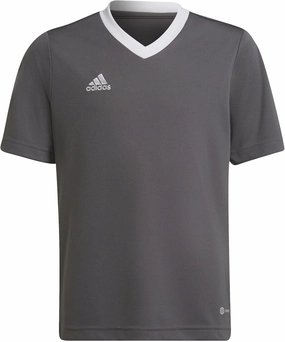 adidas Kids' Entrada 22 Jersey