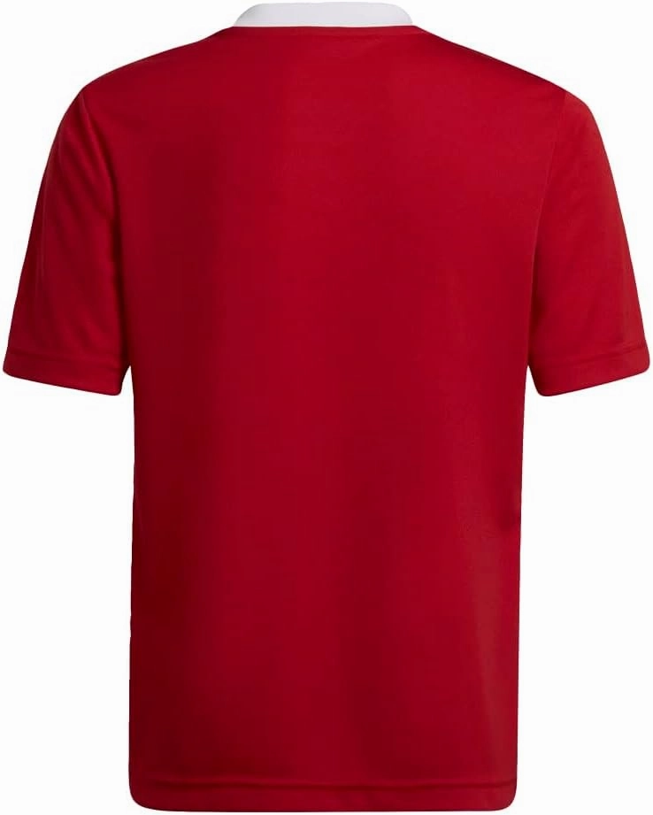 adidas Kids' Entrada 22 Jersey
