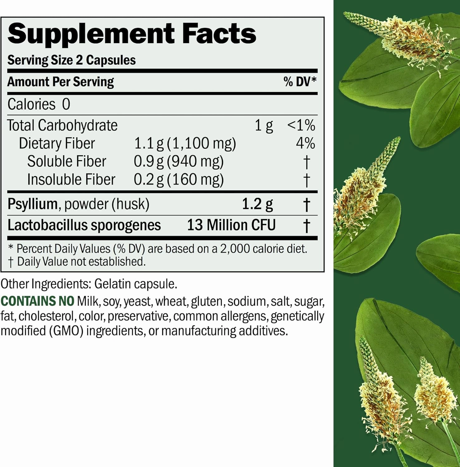 ANDREW LESSMAN Fibermucil 180 Capsules -Psyllium Husk Powder. Gently Promotes Regularity and Digestive Health. Rich in Fiber. Gentle, Easy, Effective. No Additives. Small Easy to Swallow Capsules