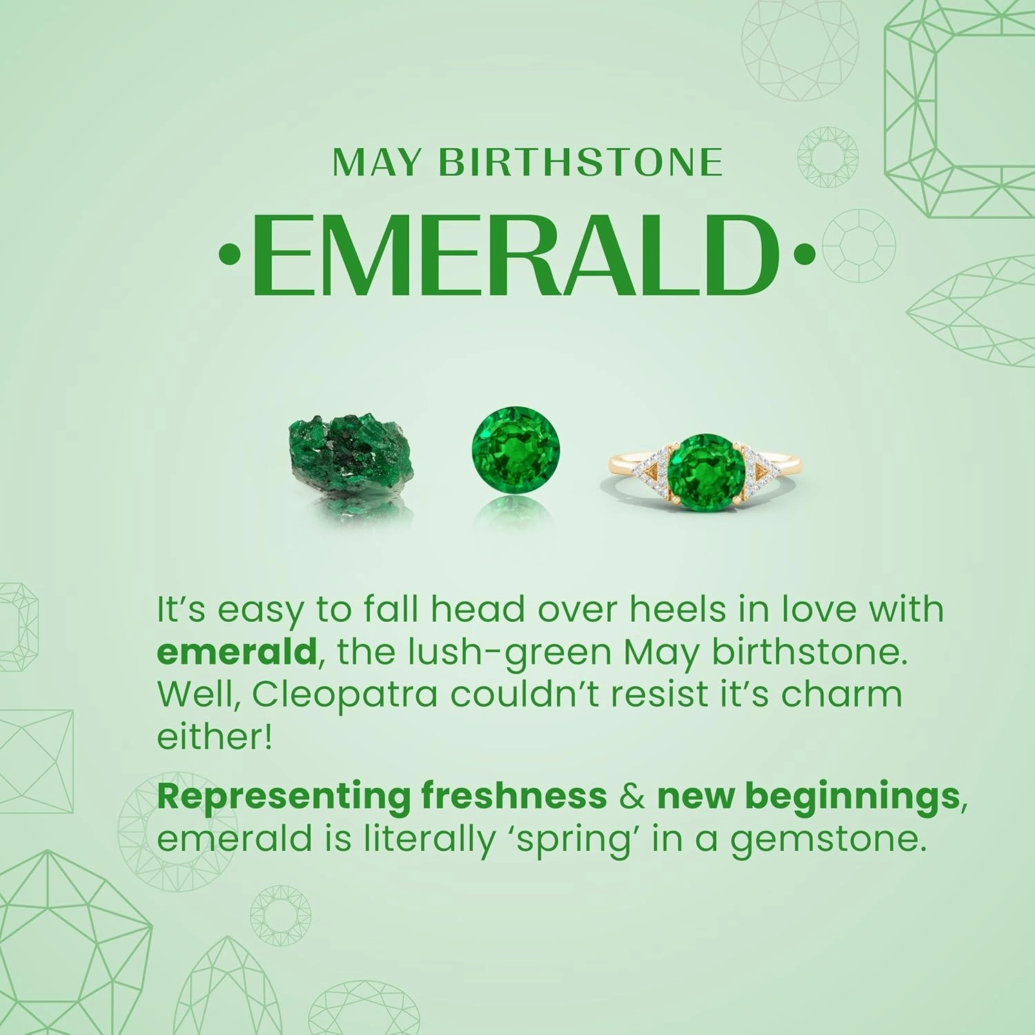 ANGARA Natural Classic Basket-Set Square Emerald Stud Earrings in Silver / 14K Solid Gold/Platinum | May Birthstone, Birthday, Engagement, Anniversary, Wedding Jewelry Gift for Women