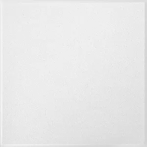 Armstrong Ceiling Tiles; 2x2 Ceiling Tiles - 16 pc White; Acoustic Ceilings for Suspended Grid; Sahara 271