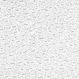 Armstrong Ceiling Tiles; 2x2 Ceiling Tiles - 16 pc White; Acoustic Ceilings for Suspended Grid; Textured 949