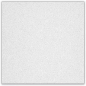 Armstrong Ceiling Tiles; 2x2 Ceiling Tiles - 10 pcs White; Acoustic Ceilings for Suspended Grid; Calla 2824