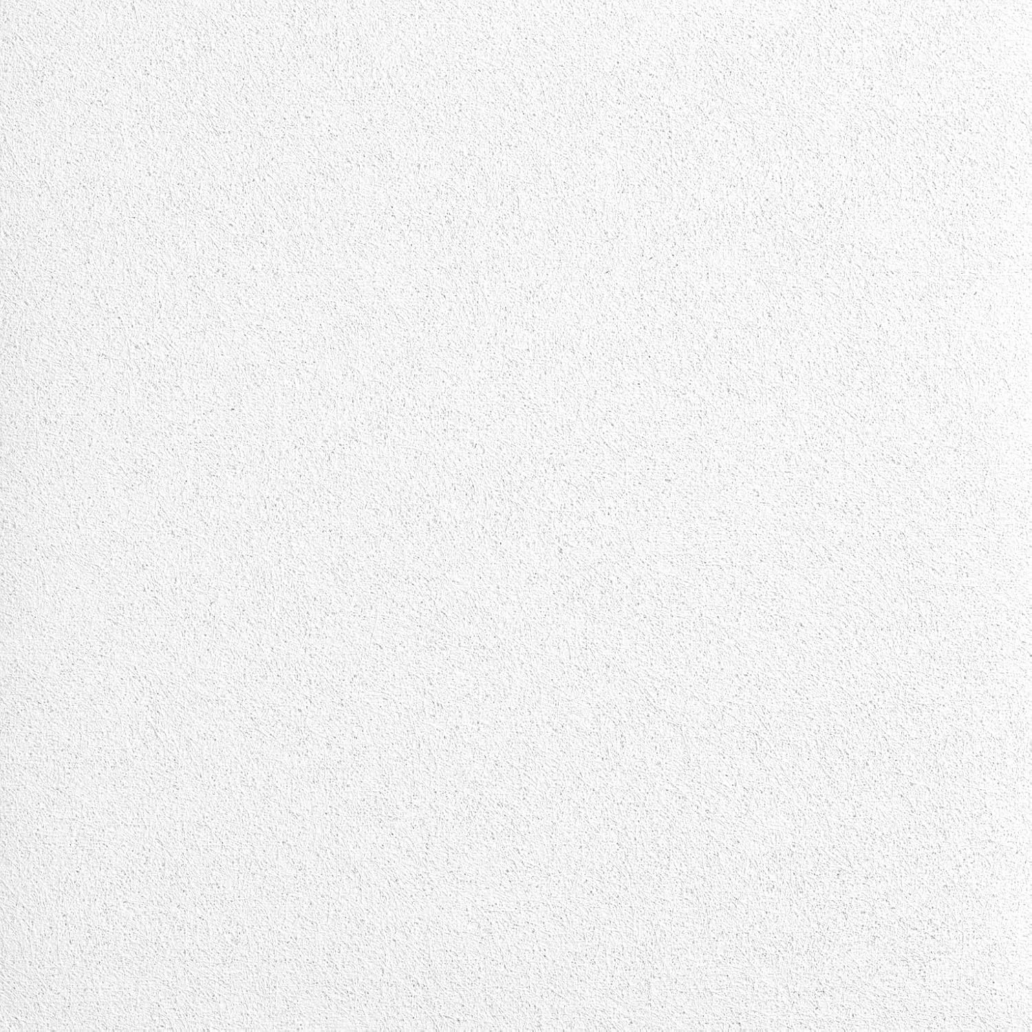 Armstrong Ceiling Tiles; 2x2 Ceiling Tiles - 6 pcs White; Acoustic Ceilings for Suspended Grid; LYRA Plant Based (PB) High CAC 8731PB
