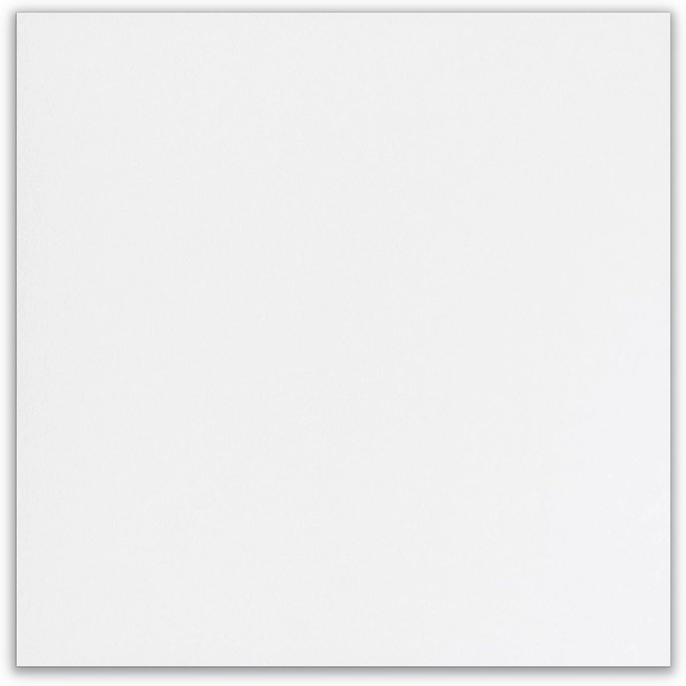Armstrong Ceiling Tiles; 2x2 Ceiling Tiles - 6 pcs White; Acoustic Ceilings for Suspended Grid; LYRA Plant Based (PB) High CAC 8731PB