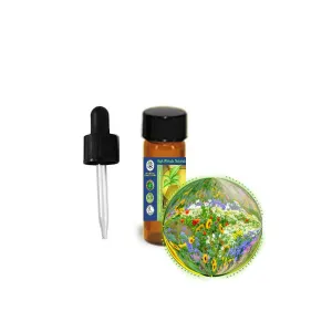 Chypre Absolute Essential Oil - Dram (3.4 ml, 1/8 oz)