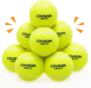Dog Tennis Balls 12 Pack - Squeaky Interactive Dog Ball Toys for Training, Exercise, Indoor Outdoor Play - 2.5" Rubber Pet Balls for Small, Medium, Large Dogs