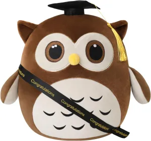 Graduation Brown Owl Stuffed Animals, Lovely Owl Plush Graduation Gifts with Grad Cap Sash Decorations for Boys Girls