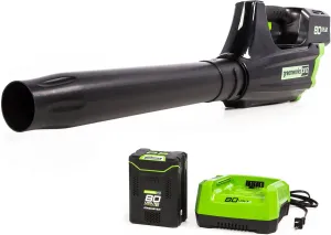 Greenworks 80V (125 MPH / 500 CFM / 75  Compatible Tools) Cordless Axial Leaf Blower, 2.0Ah Battery and Charger Included