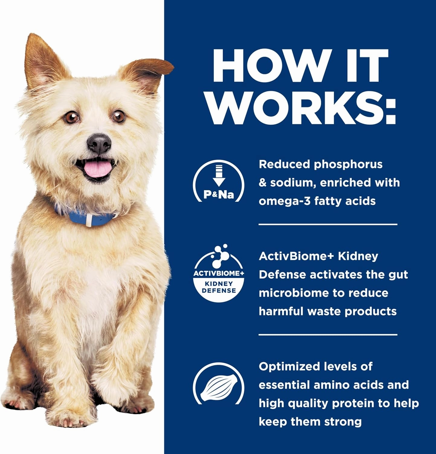 Hill's Prescription Diet k/d Kidney Care with Chicken Wet Dog Food, Renal Food, Veterinary Diet, 13 Oz Cans, (Pack of 12)