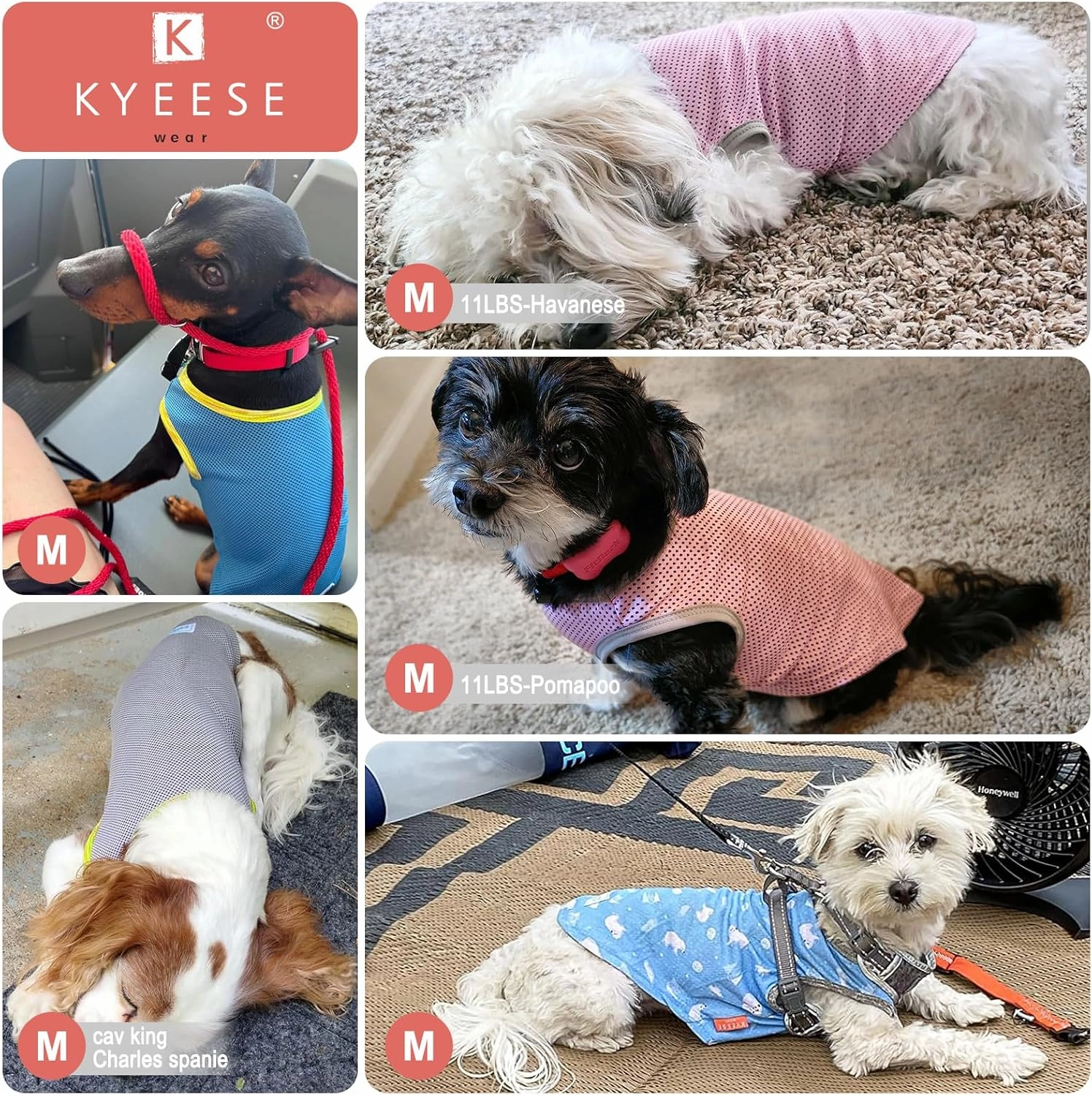 KYEESE 2 Pack Dog Cooling Shirts Quick Dry Instant Cooling Pet Vest for Small Dogs Breathable Sleeveless Vest Lightweight Soft Quick Dry Puppy Shirt Great for Outdoor Activities,M