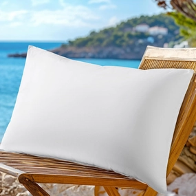 LBRO2M Canada Goose Down Pillow 1050 Fill Power 80% Goose Down 20% Goose Feather 100% Cotton Pillowcase Queen Down Pillows Ideal for Plush Comfort and Support (20"X36", Set of 1)