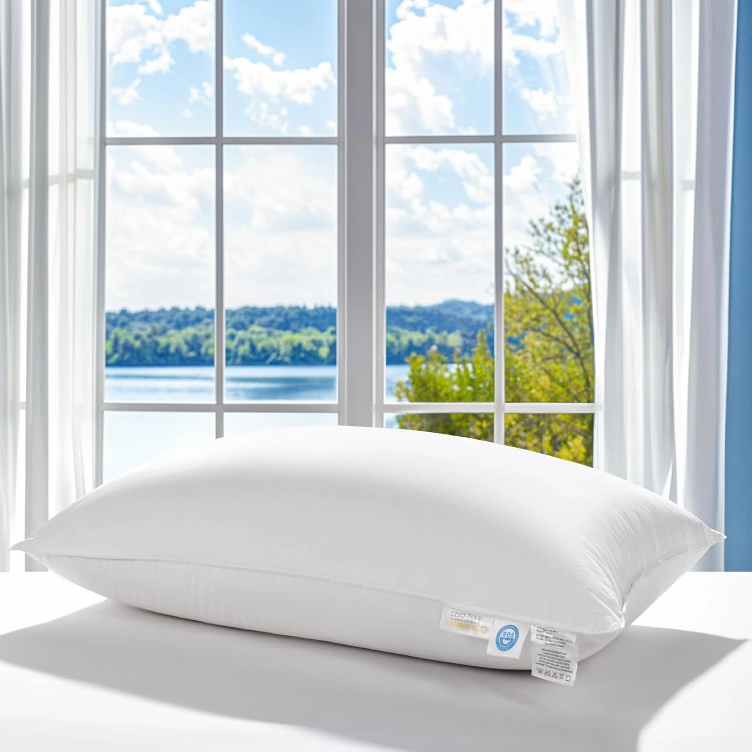 LBRO2M Canada Goose Down Pillow 1050 Fill Power 80% Goose Down 20% Goose Feather 100% Cotton Pillowcase Queen Down Pillows Ideal for Plush Comfort and Support (20"X36", Set of 1)