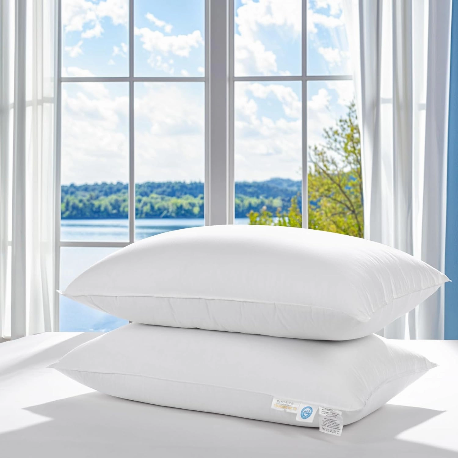 LBRO2M Canada Goose Down Pillow 900 Fill Power 80% Goose Down 20% Goose Feather 100% Cotton Pillowcase Queen Down Pillows Ideal for Plush Comfort and Support (20"X30" Set of 2)