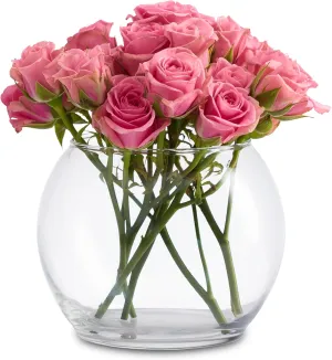 Libbey Footed Bubble Glass Vase - Elegant Bubble Vases Set of 12 - Versatile Potpourri Bowl for Terrarium Plants, Flower Petals, Snacks & More
