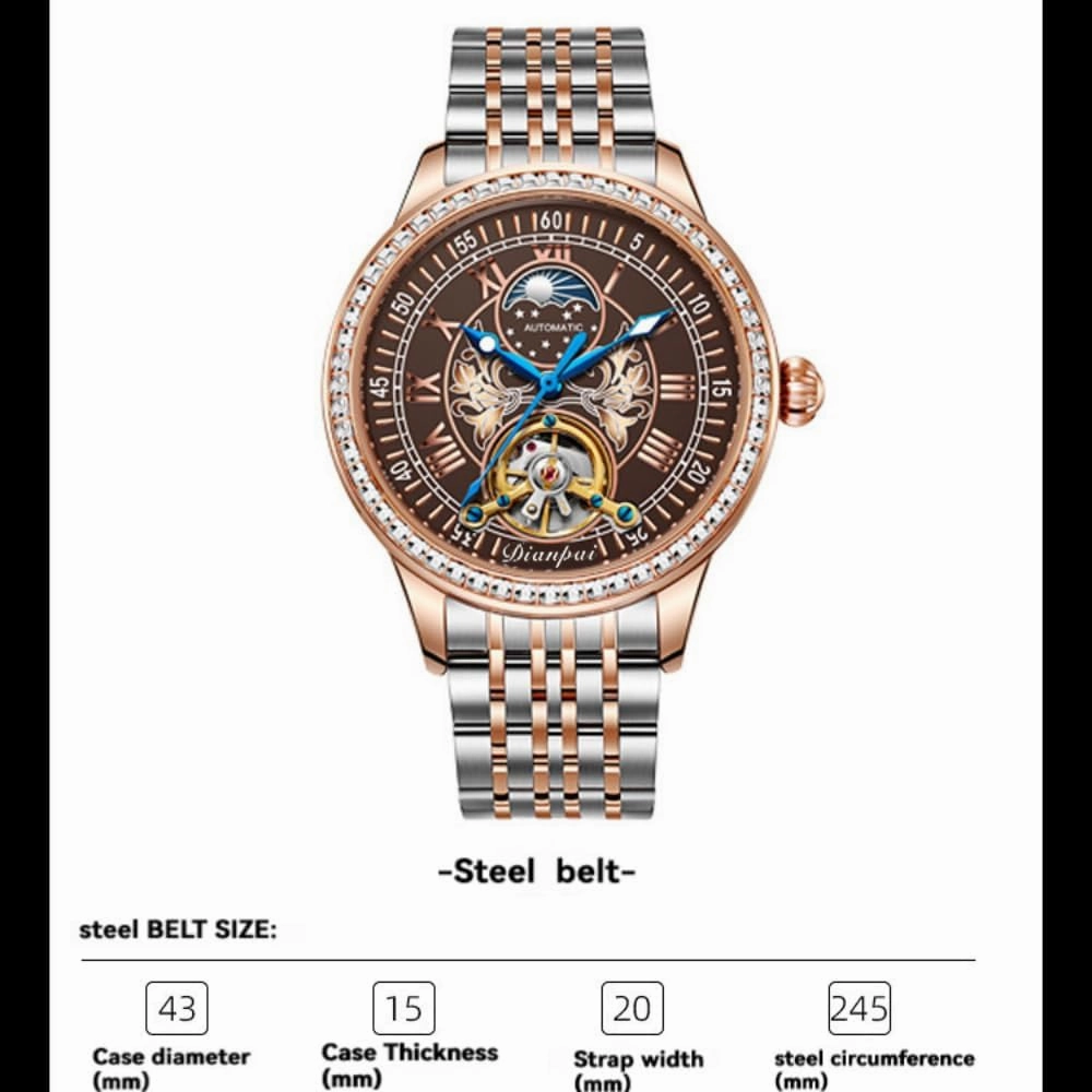 Luxury Automatic Mechanical Watch for Man Skeleton Tourbillon Moon Phase Waterproof Stainless Steel Strap Top Brand Luxury Gifts