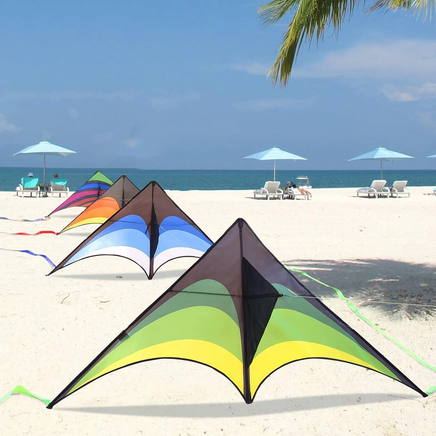 Mint's Colorful Life Delta Kite for Kids & Adults, Extremely Easy to Fly Kite, Best Kites for Beginner
