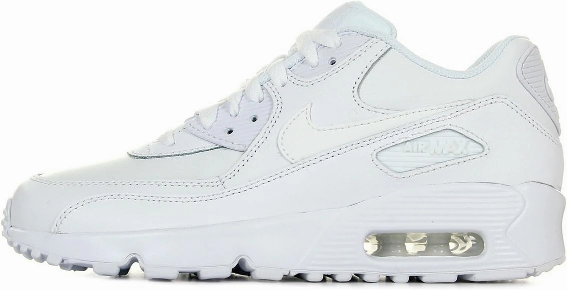Nike Air Max 90 LTR (Big Kid)