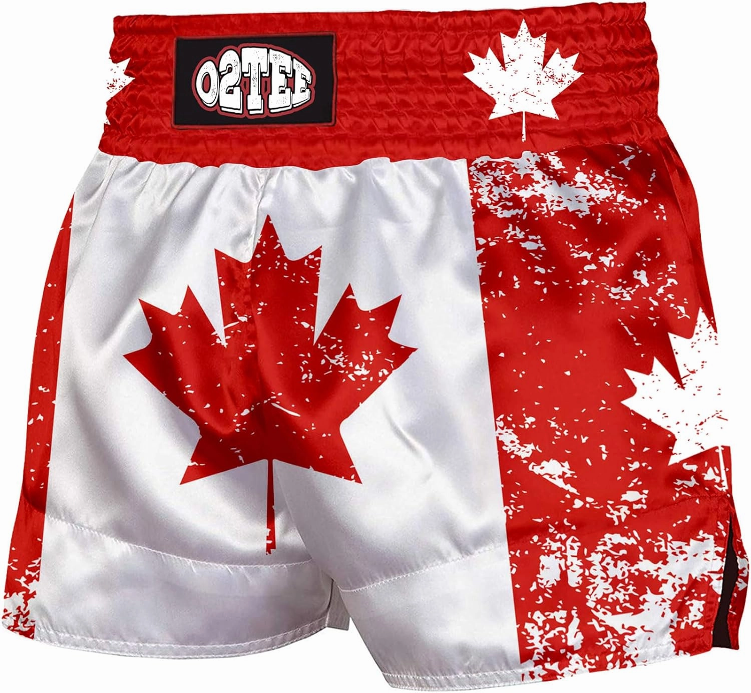 O2TEE Muay Thai Shorts Boxing Shorts MMA Kickboxing Traditional Styles Nation Shorts