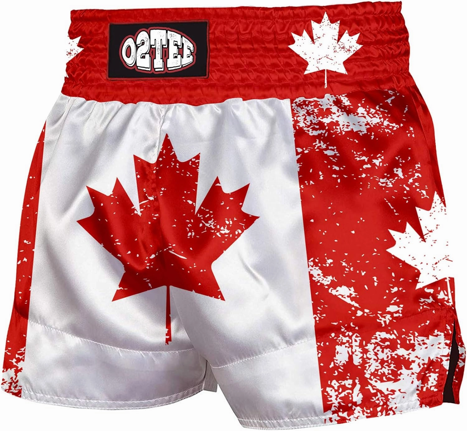 O2TEE Muay Thai Shorts Boxing Shorts MMA Kickboxing Traditional Styles Nation Shorts