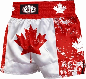 O2TEE Muay Thai Shorts Boxing Shorts MMA Kickboxing Traditional Styles Nation Shorts