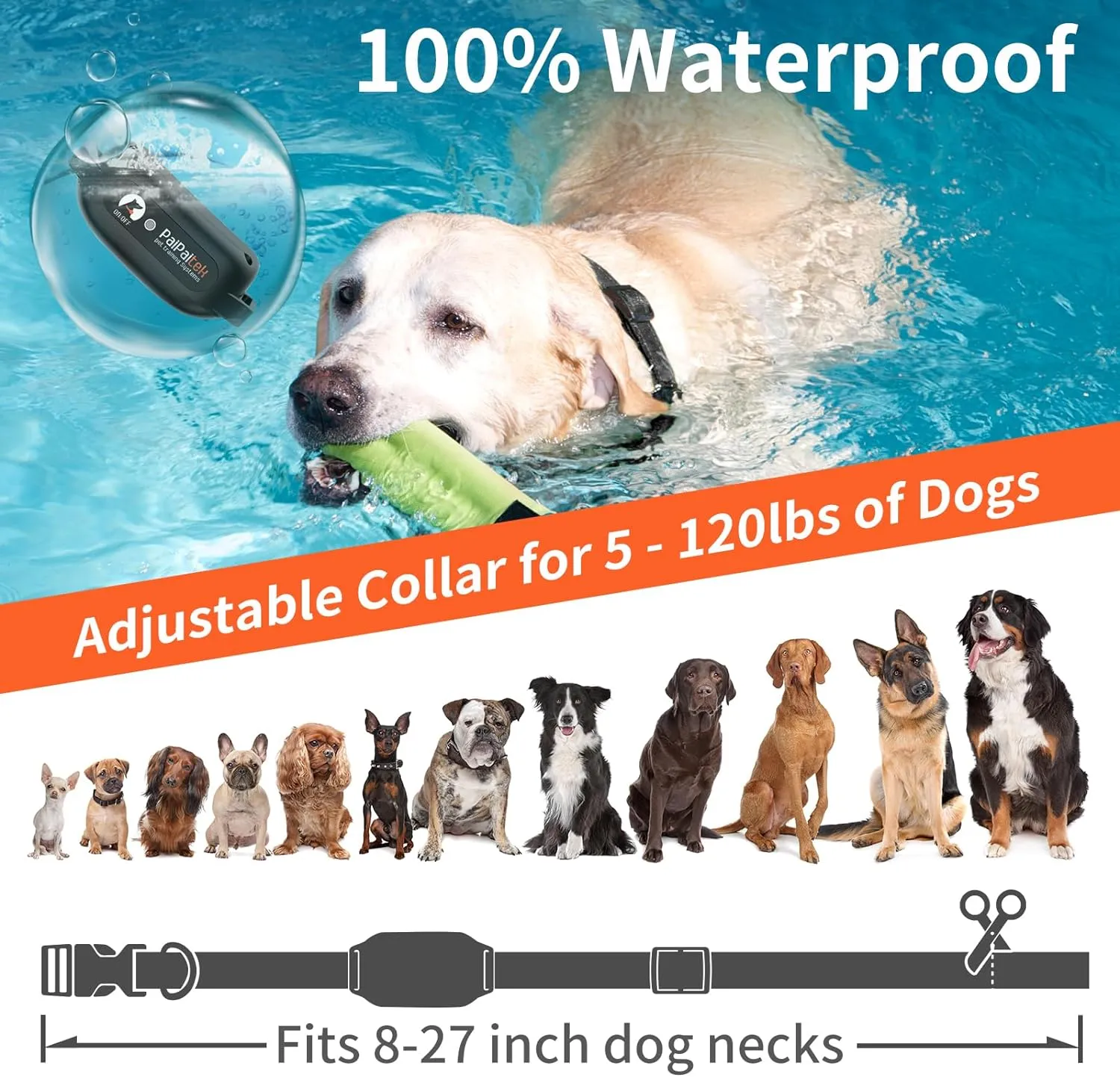 PaiPaitek Dog Vibration Collar with Controller for 2 Dogs No Shock, 9 Types of Beeps and Vibrations, 3300ft Range & Upgraded Waterproof Training Collar for Dogs 5-120lbs - No Prongs