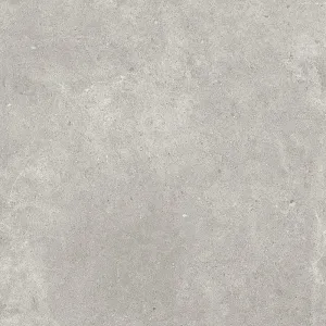 Paradigm Tortora - Quality Tiles