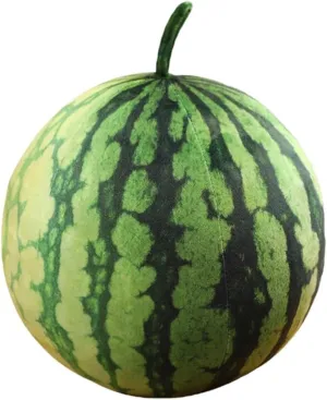 Plush Watermelon Pillow Soft Stuffed Plush Fruit Shaped Pillows Watermelon Shaped Throw Pillow Fruit Cushion Hug Toy Decorative Pillow