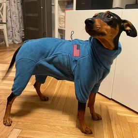 Polar Fleece Dog Jackets - Windproof Dog Sweater for Winter - Blue Medium & Large