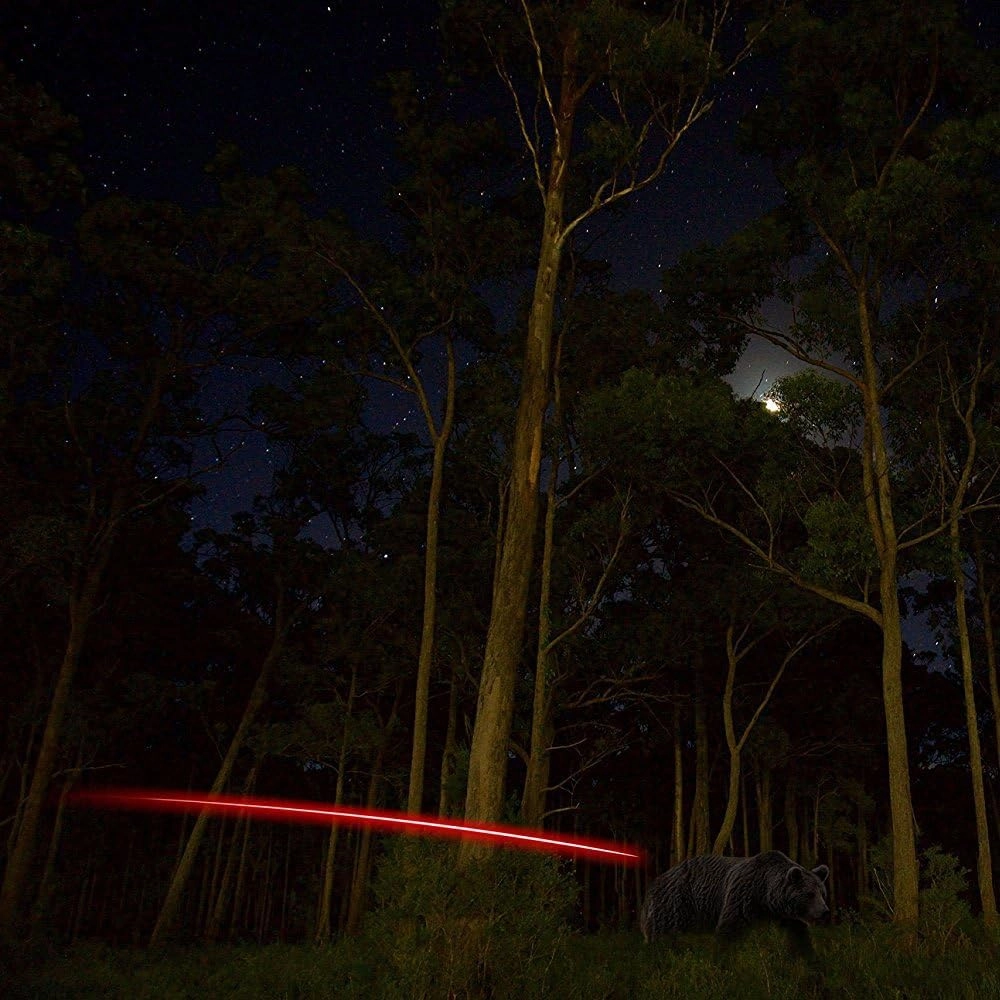 S Lighted Nocks for Arrows with .244 Light up Knocks Turn on Automatically When Shoot 6-Pack
