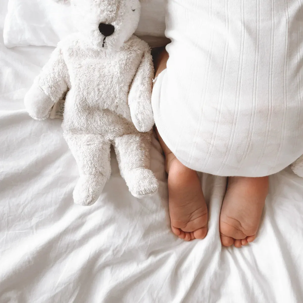 Senger Polar Bear | Small