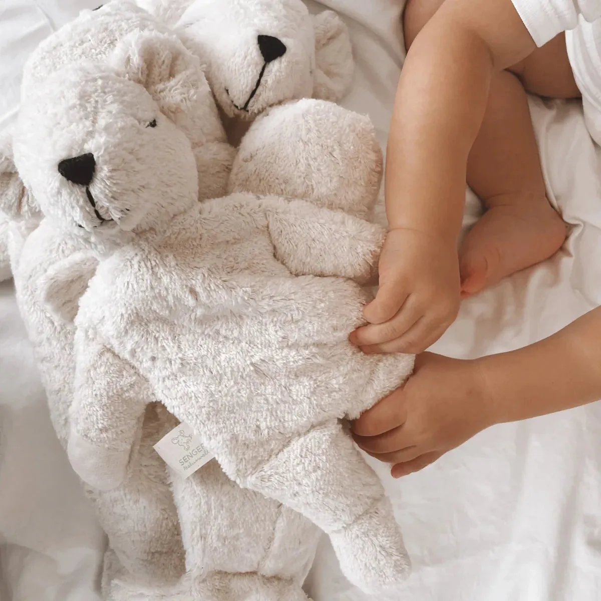 Senger Polar Bear | Small