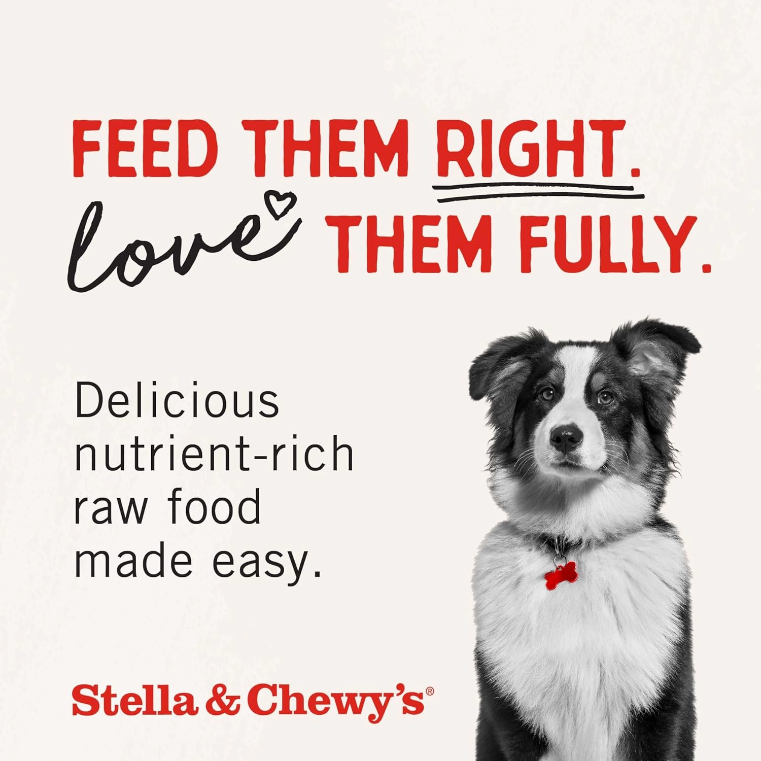 Stella & Chewy's Freeze-Dried Raw Dinner Patties - Chicken Recipe - High Protein Grain-Free Puppy & Dog Food - Perfect For Picky Eaters - 5.5 oz