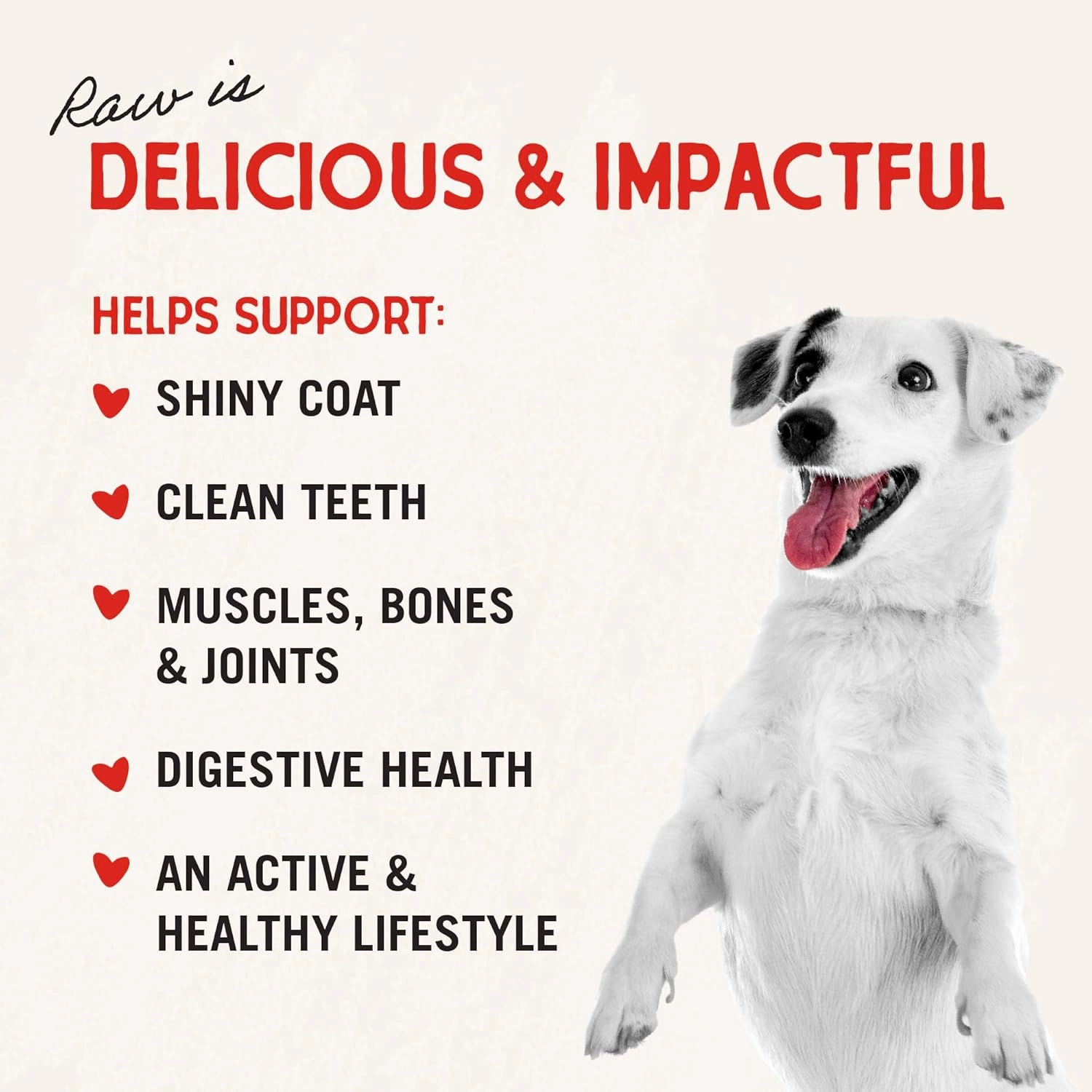 Stella & Chewy's Freeze-Dried Raw Dinner Patties - Chicken Recipe - High Protein Grain-Free Puppy & Dog Food - Perfect For Picky Eaters - 5.5 oz