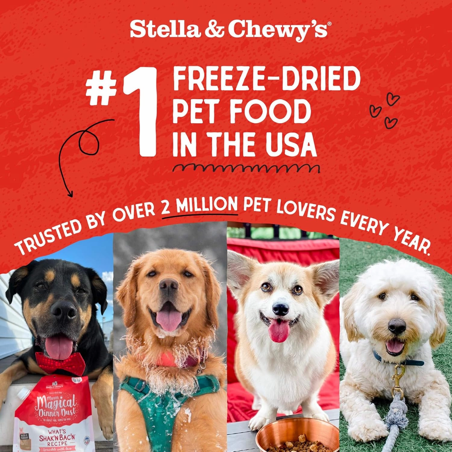 Stella & Chewy's Freeze-Dried Raw Dinner Patties - Chicken Recipe - High Protein Grain-Free Puppy & Dog Food - Perfect For Picky Eaters - 5.5 oz