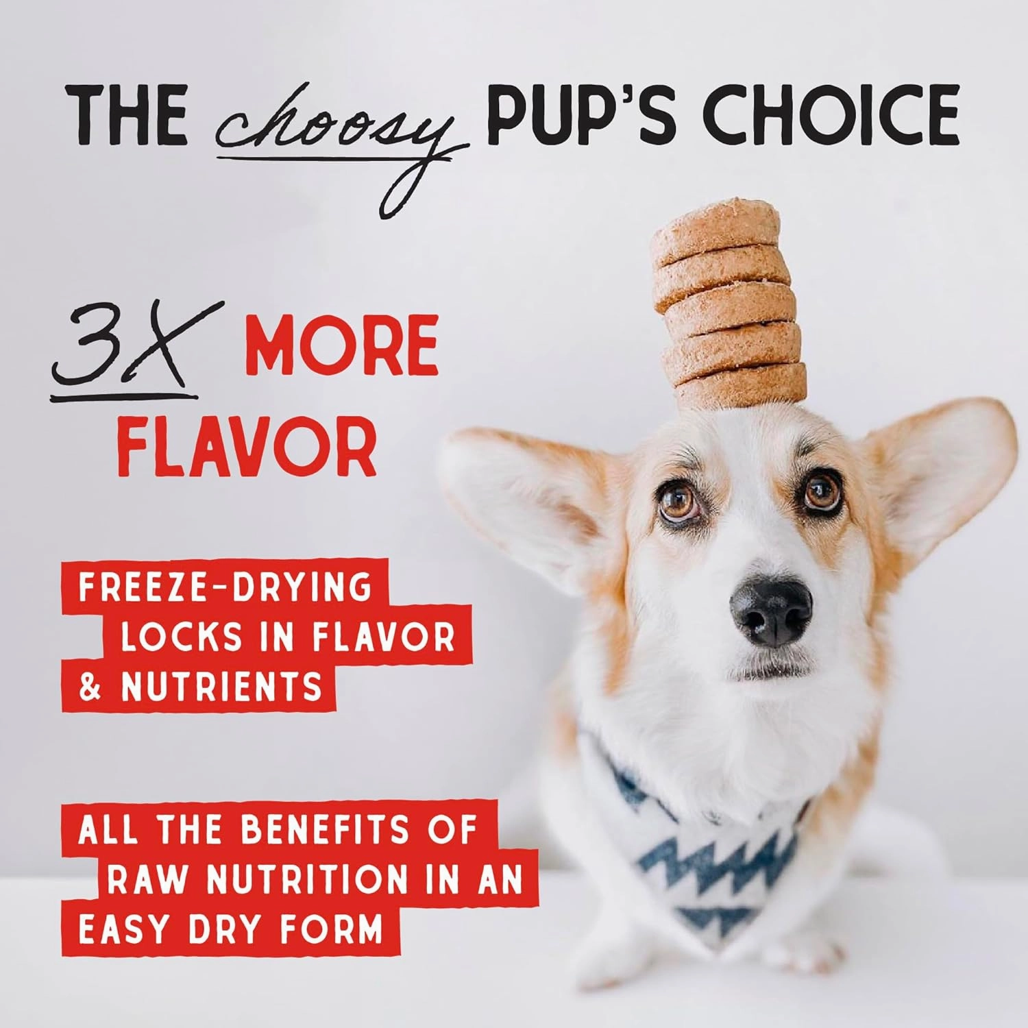 Stella & Chewy's Freeze-Dried Raw Dinner Patties - Chicken Recipe - High Protein Grain-Free Puppy & Dog Food - Perfect For Picky Eaters - 5.5 oz
