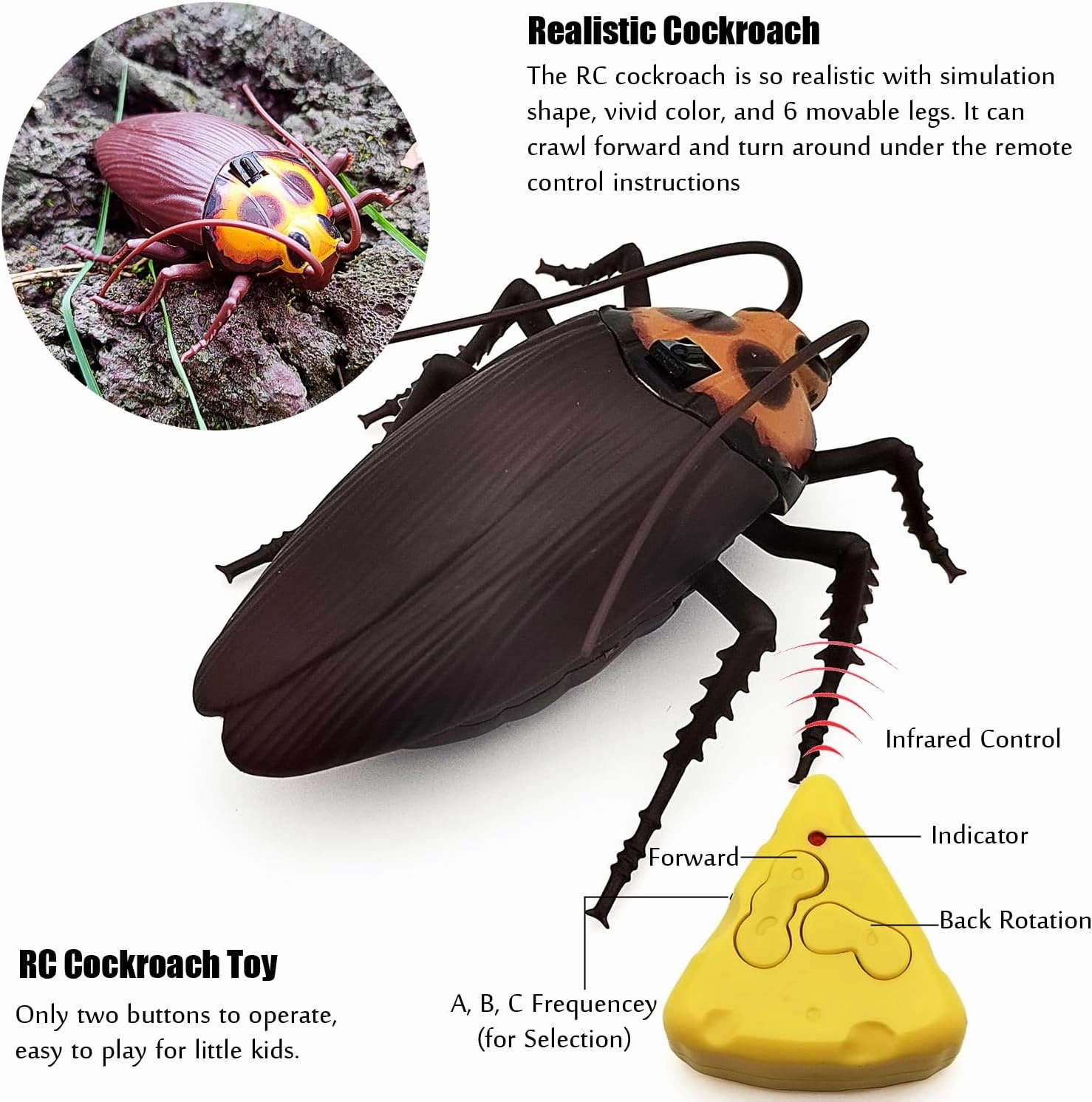 Tipmant Mini RC Cockroach Toy Remote Control Roach Insect Realistic Simulation Electric Electronic Animal for Pets Cat Dogs Toddler Kids Birthday Gifts