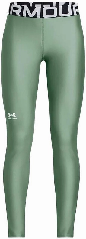 Under Armour Girls' HeatGear Leggings