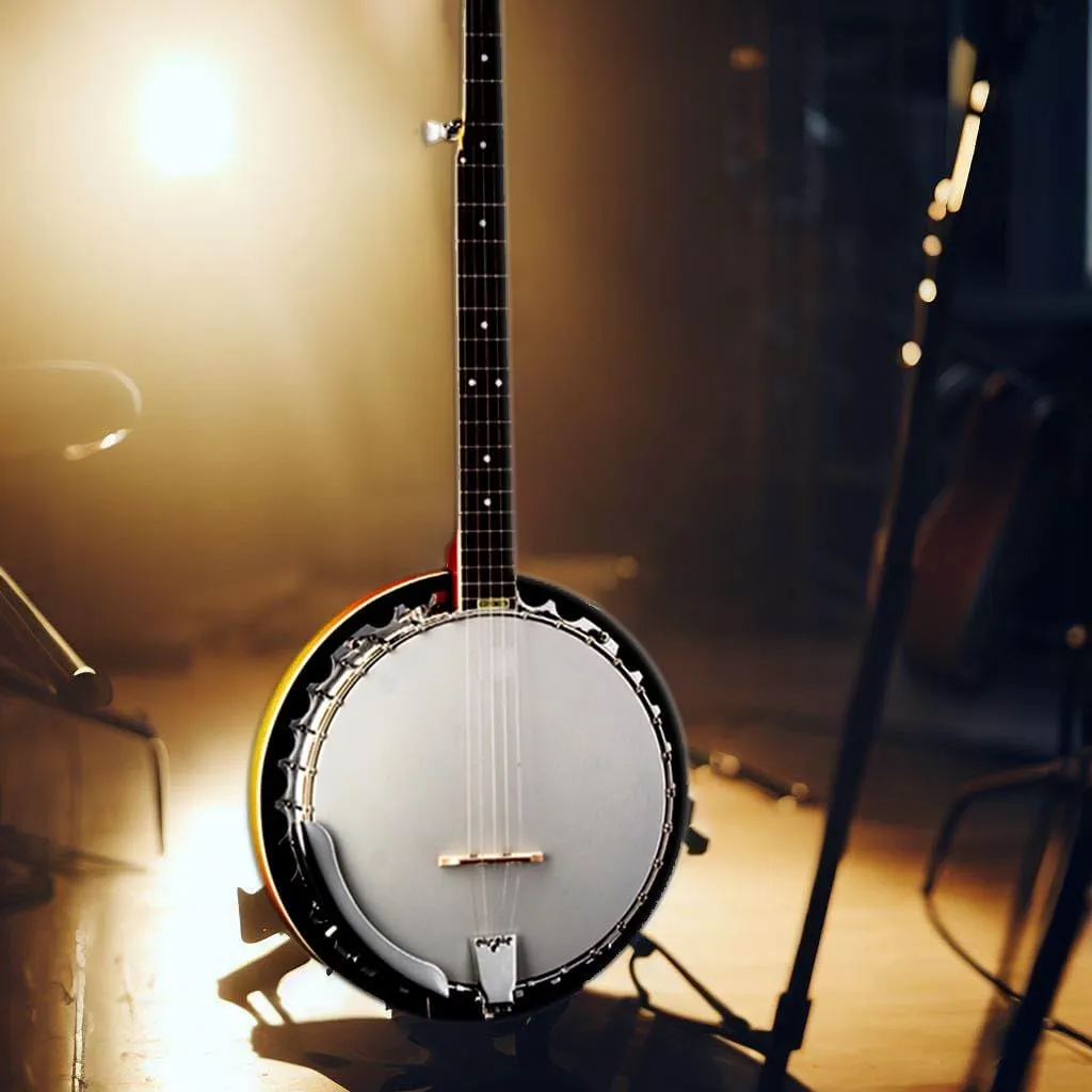 Washburn Americana Series B9-WSH-A 5 String Banjo Natural
