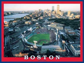 White Mountain Puzzles Boston Fenway Park, 550 Piece Jigsaw Puzzle