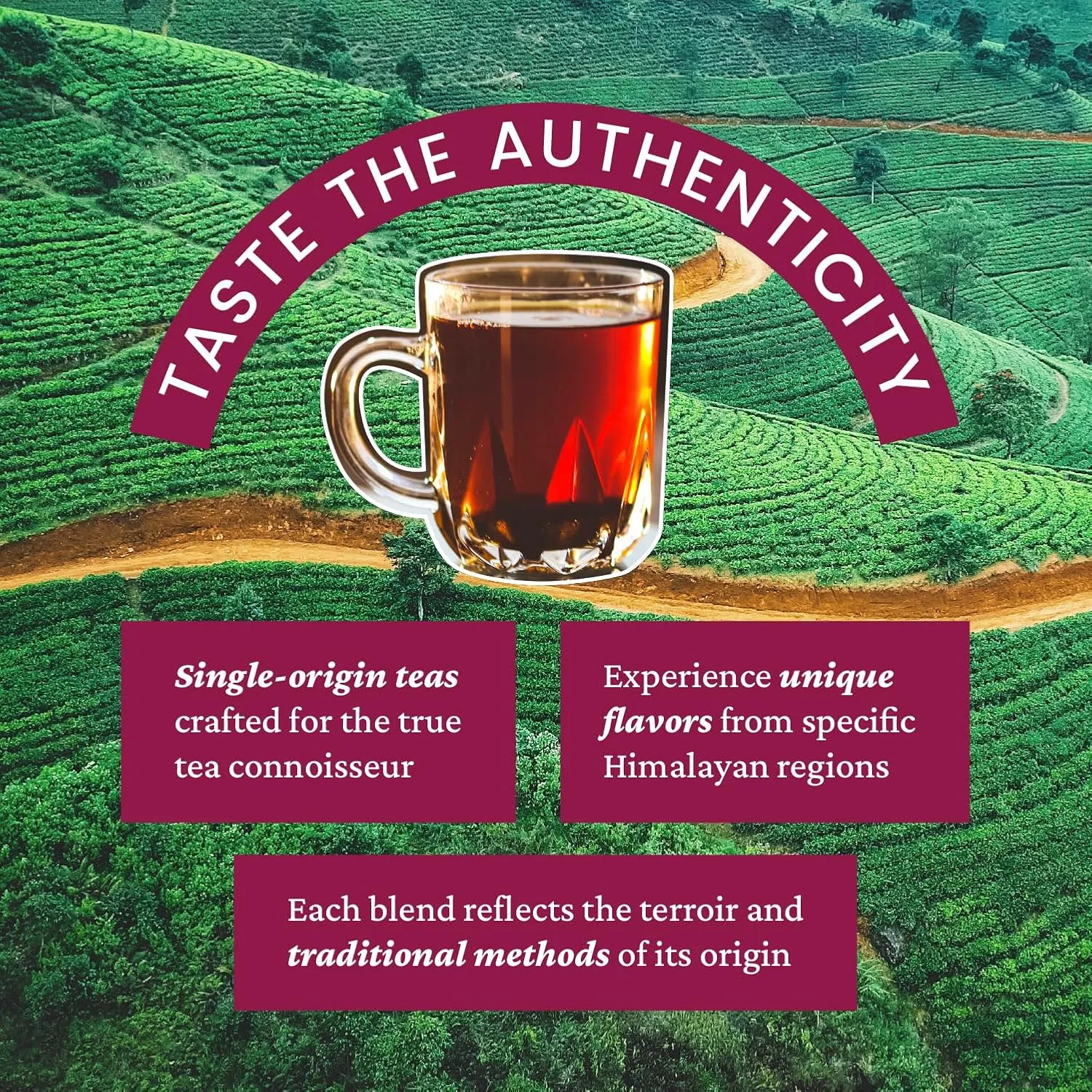 Young Mountain Tea Organic Assam Loose Leaf Tea, Robust, Full-Bodied, Malty Flavor from Northeastern India, Single-Origin Black Tea, 3 oz tin